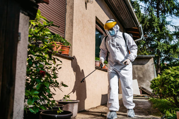 Wasp Removal Services in Santaquin, UT